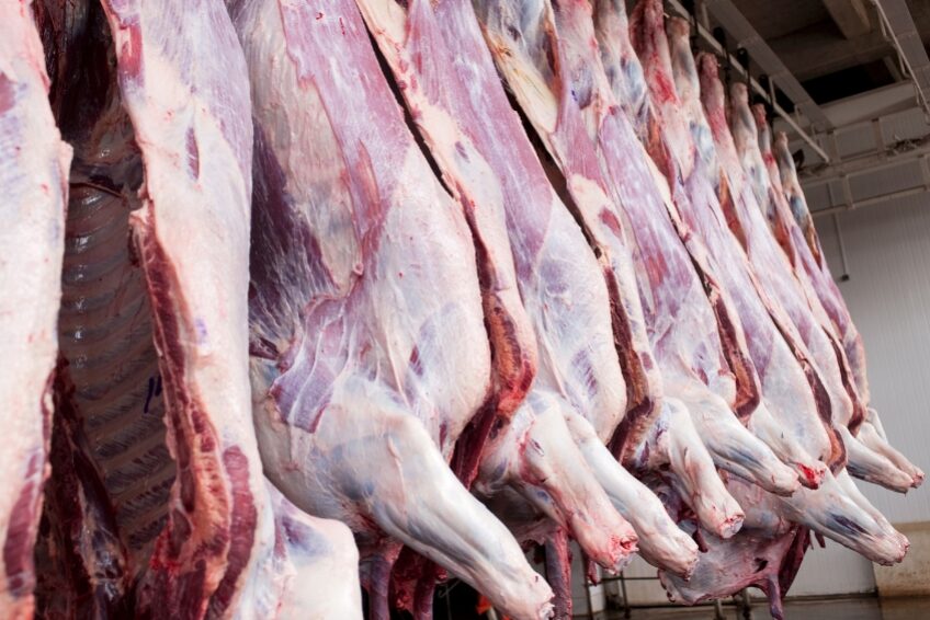 Distribuidores de carne de res nacional en Guadalajara